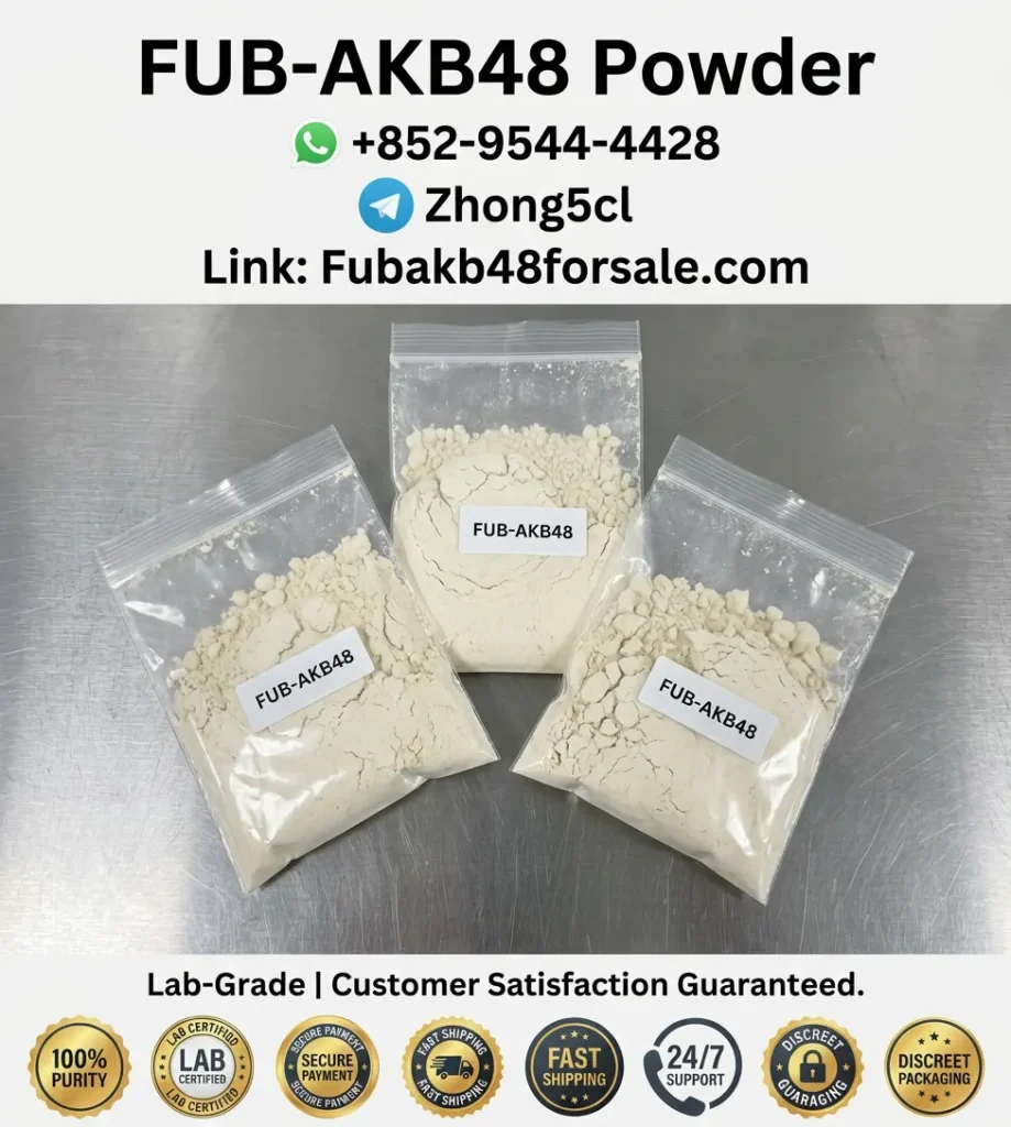 FUB-AKB48 verified supplier about us - direct source - quality guarantee